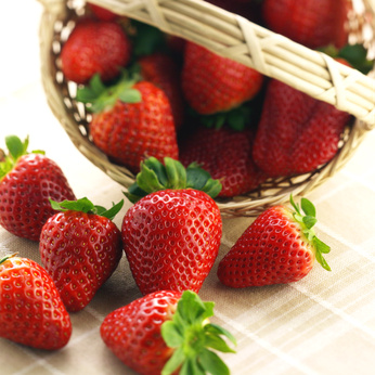 La fraise, symbole des beaux jours