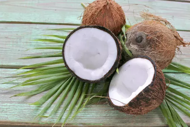 Les bienfaits de la noix de coco pour votre santé et la beauté de votre corps